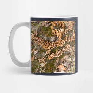 Bracket fungus Mug